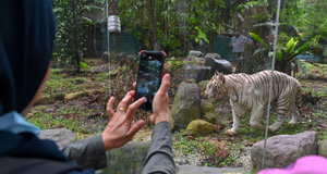 馬來西亞國家動物園重新開放