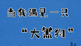 【長圖】當我遇見一只“大黑狗”