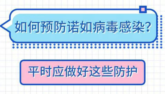 【圖解】腹瀉？嘔吐？或是這種病毒在作祟！