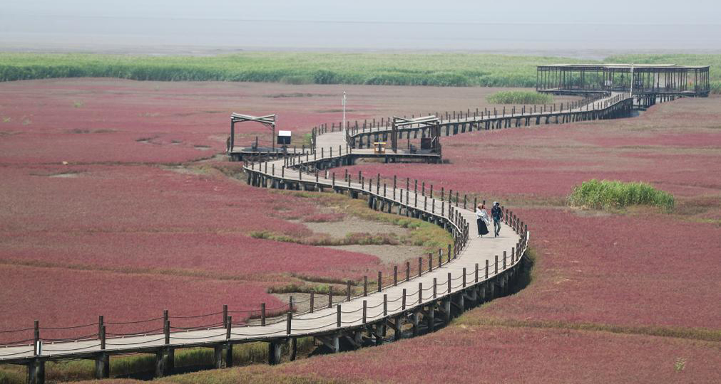 夏游紅海灘