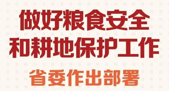 做好糧食安全和耕地保護工作，省委作出部署