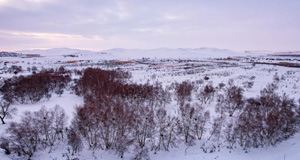 雪后草原美如畫(huà)