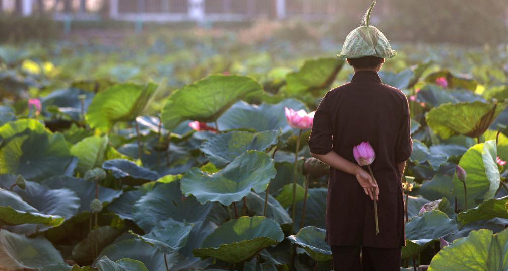 在“百花春城”感受千年古城生機