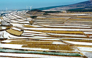 雪后平陸萬畝梯田景美如畫