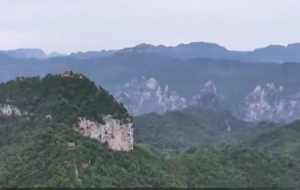 綠水青山生態(tài)美 野生動物頻現(xiàn)身