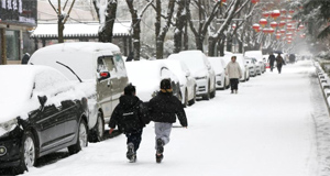 龍年春雪景色美