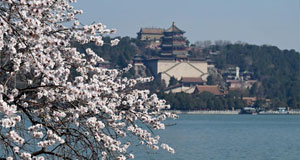 花開(kāi)頤和園