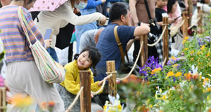 2024粵港澳大灣區(qū)花展在深圳開幕