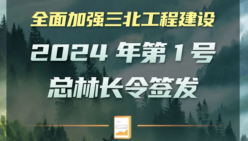 全面加強三北工程建設 2024第1號總林長令簽發(fā)