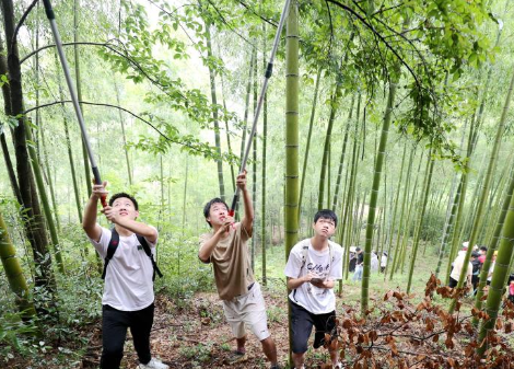 浙江德清：大學(xué)生野外探尋生物多樣性