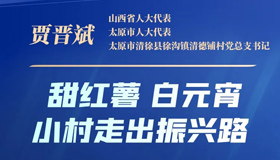 【海報(bào)】看人大代表如何建言獻(xiàn)策，點(diǎn)亮發(fā)展之路！