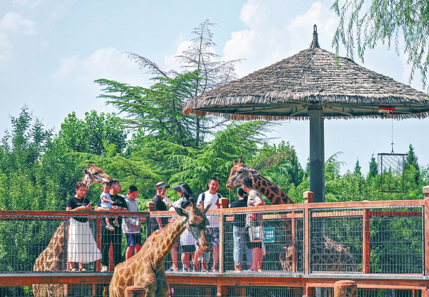 暑假以來(lái)，臨汾市動(dòng)物園成為眾多親子游家庭的首選，一家人來(lái)此共同體驗(yàn)與動(dòng)物和諧相處的樂(lè)趣。