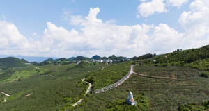 “石頭山”蝶變“花果山”