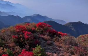 永濟(jì)五老峰：層林盡染秋意濃