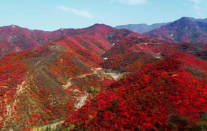 中條山上 秋意正濃