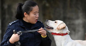 一名“90后”警犬訓(xùn)導(dǎo)員的警察節(jié)